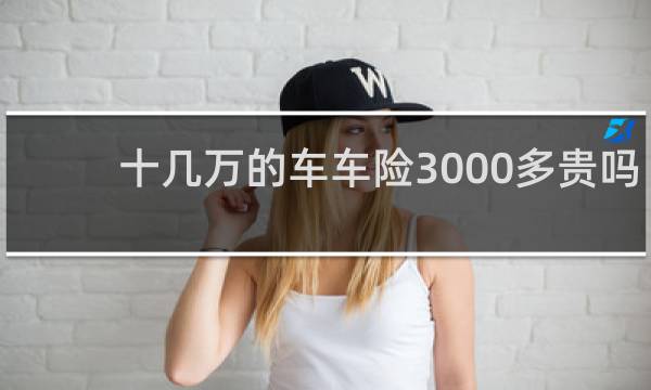 十几万的车车险3000多贵吗图片