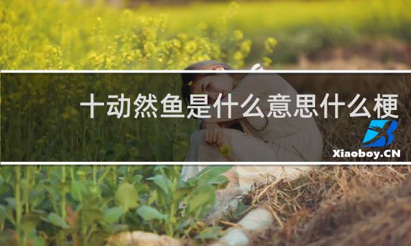 十动然鱼是什么意思什么梗