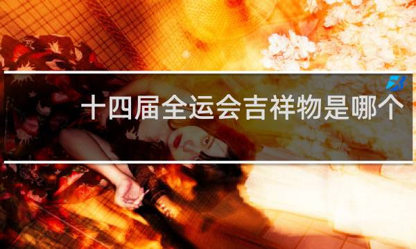 十四届全运会吉祥物是哪个