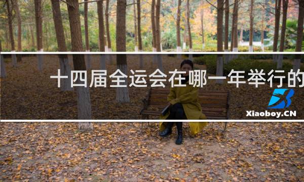 十四届全运会在哪一年举行的