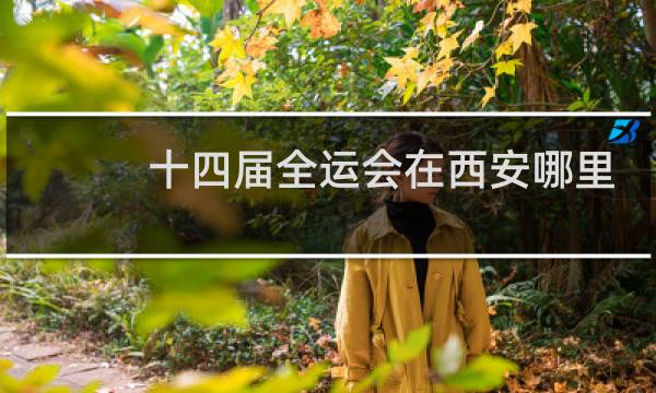 十四届全运会在西安哪里
