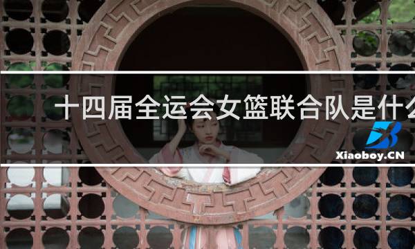 十四届全运会女篮联合队是什么意思