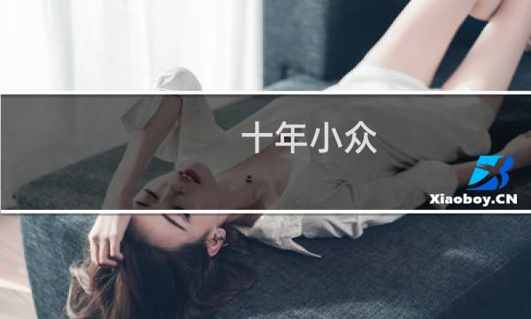 十年小众，终成主流什么梗