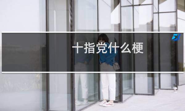 十指党什么梗