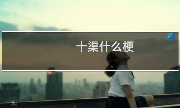 十渠什么梗