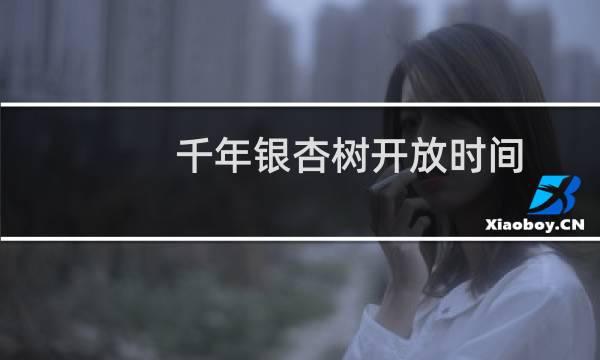 千年银杏树开放时间