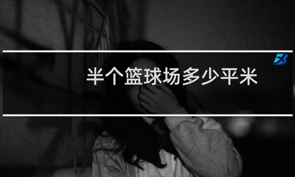 半个篮球场多少平米