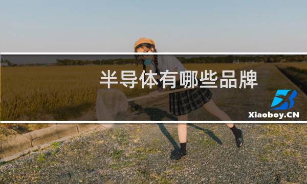 半导体有哪些品牌