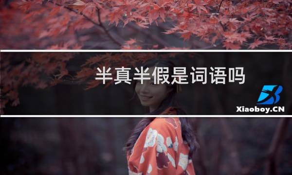 半真半假是词语吗（半真半假是什么字）