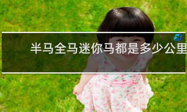 半马全马迷你马都是多少公里