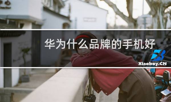 华为什么品牌的手机好