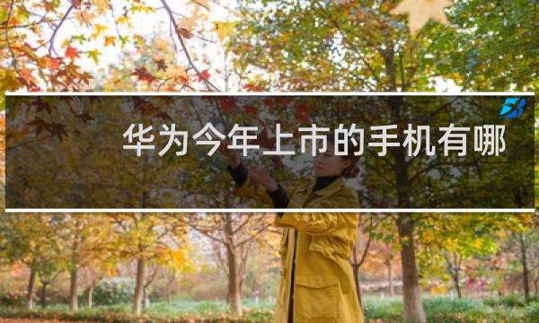 华为今年上市的手机有哪些
