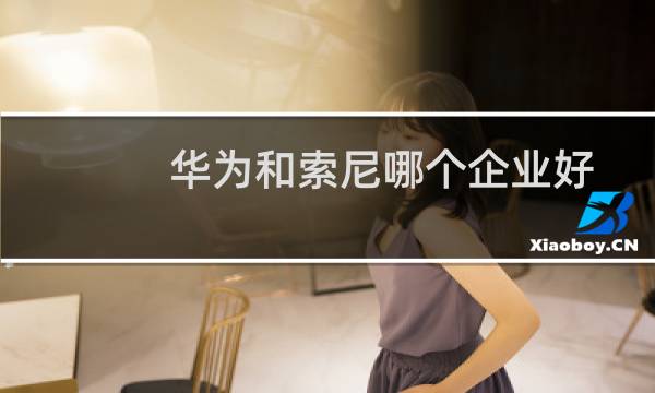 华为和索尼哪个企业好