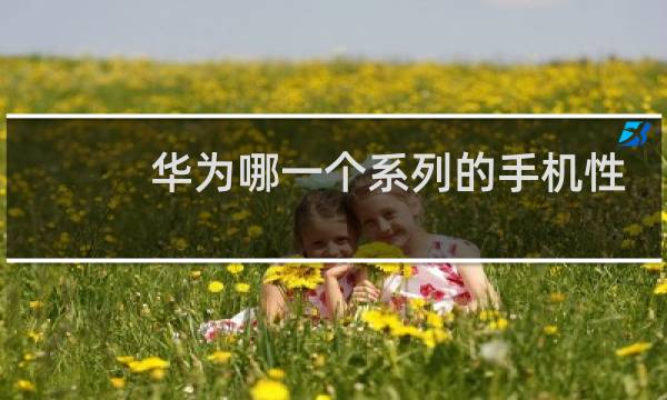 华为哪一个系列的手机性价比高