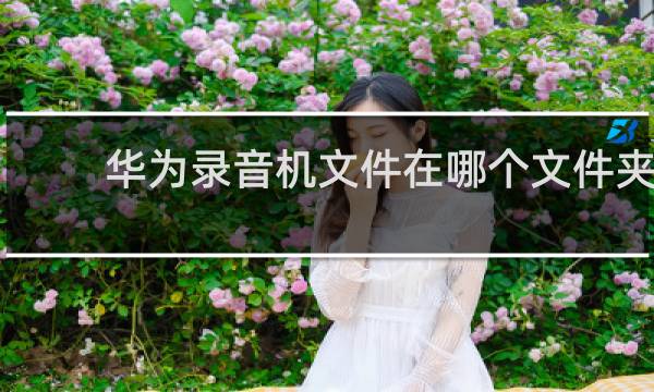 华为录音机文件在哪个文件夹