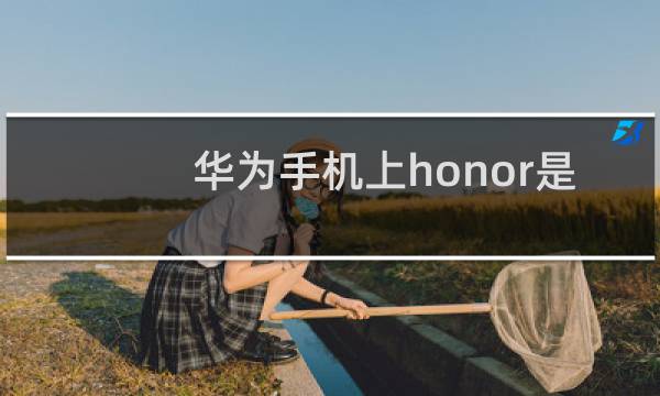 华为手机上honor是什么
