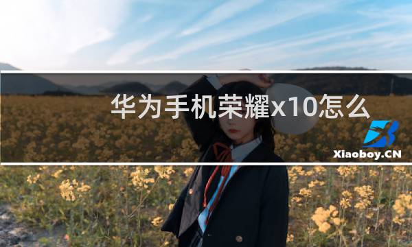 华为手机荣耀x10怎么样