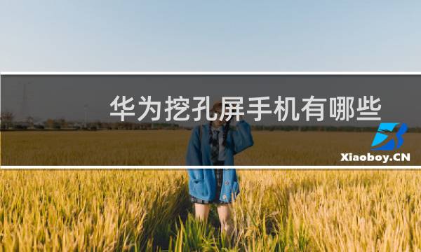 华为挖孔屏手机有哪些（华为挖孔屏手机有哪几款）图片