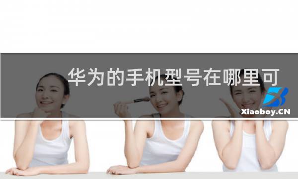 华为的手机型号在哪里可以看