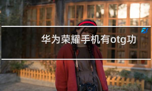 华为荣耀手机有otg功能吗