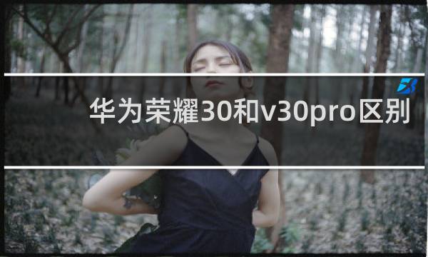 华为荣耀30和v30pro区别