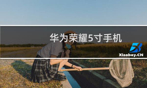 华为荣耀5寸手机