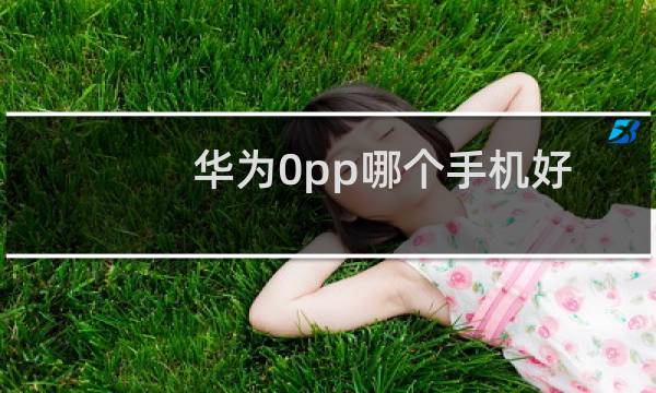 华为0pp哪个手机好