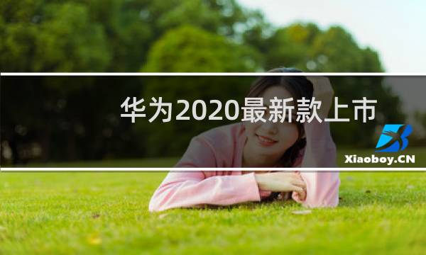 华为2020最新款上市手机