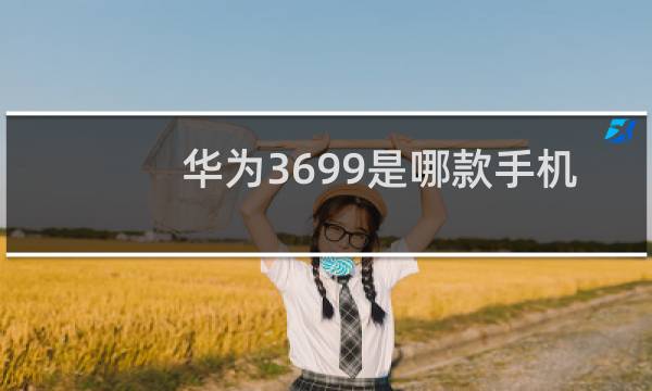 华为3699是哪款手机