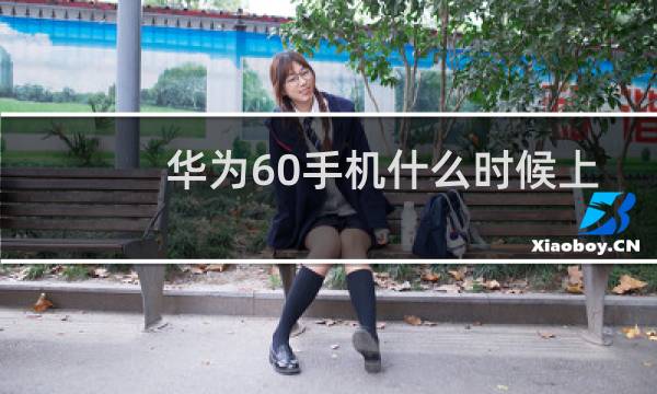 华为60手机什么时候上市