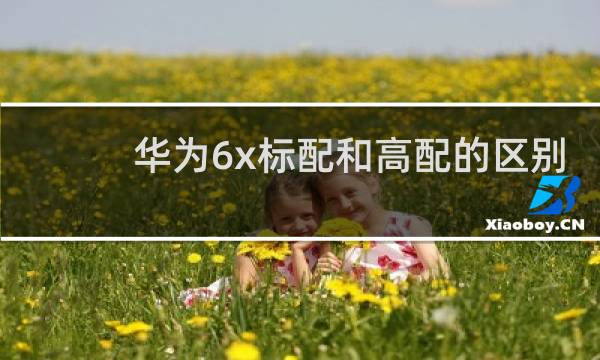 华为6x标配和高配的区别