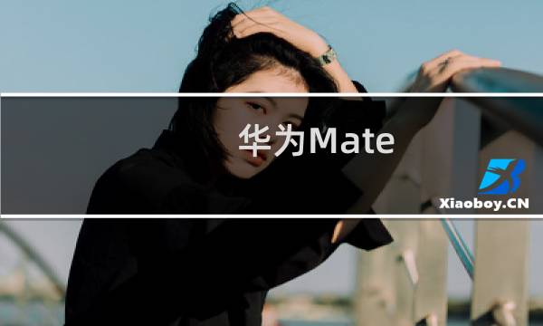 华为Mate 20 Pro开始升级emui10