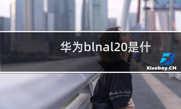 华为blnal20是什么型号手机