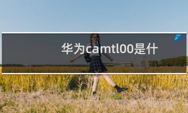 华为camtl00是什么型号手机
