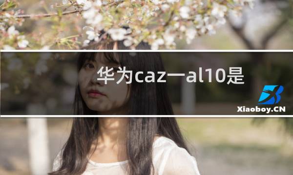 华为caz一al10是什么型号的手机