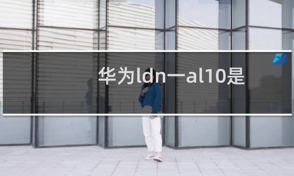 华为ldn一al10是什么型号手机
