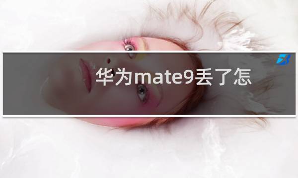 华为mate9丢了怎么找回