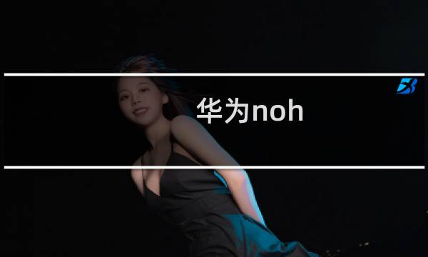 华为noh an01是什么手机