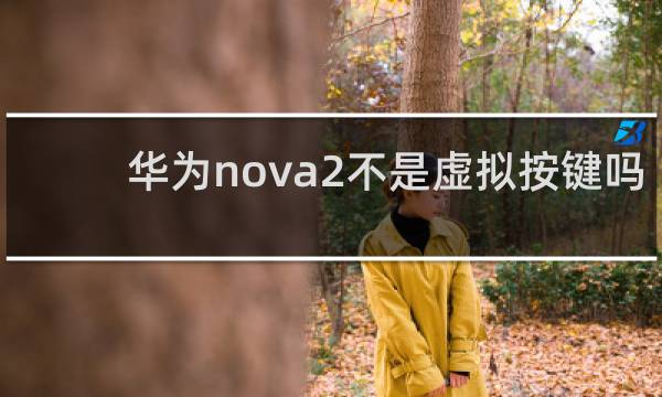 华为nova2不是虚拟按键吗