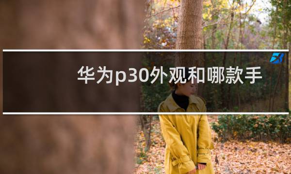 华为p30外观和哪款手机接近