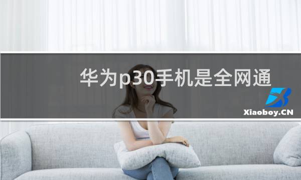 华为p30手机是全网通吗图片