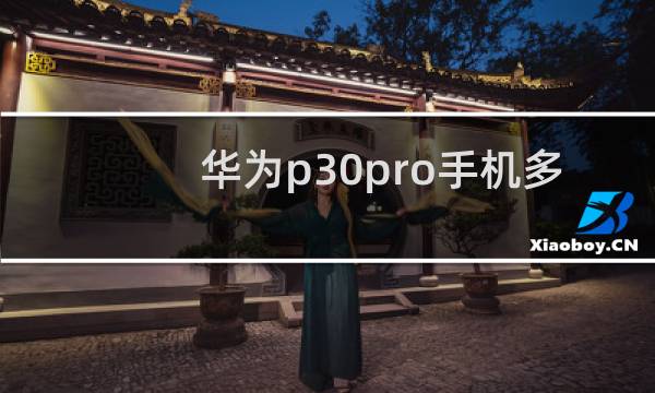 华为p30pro手机多少克