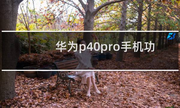 华为p40pro手机功能介绍在哪里