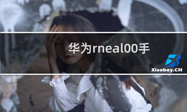 华为rne-al00手机多少钱