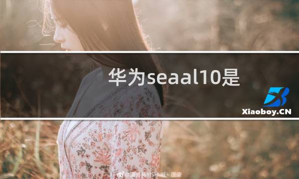 华为sea-al10是什么型号手机