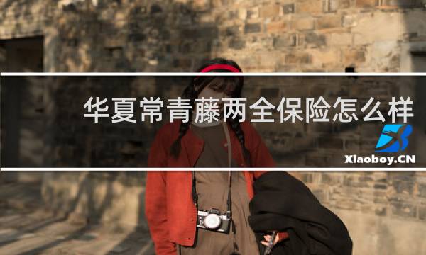 华夏常青藤两全保险怎么样图片