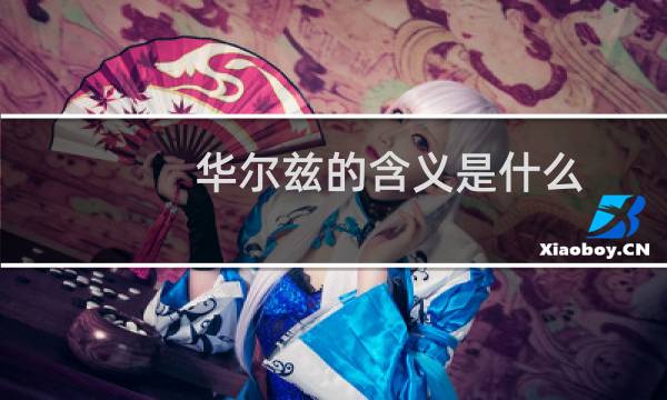 华尔兹的含义是什么