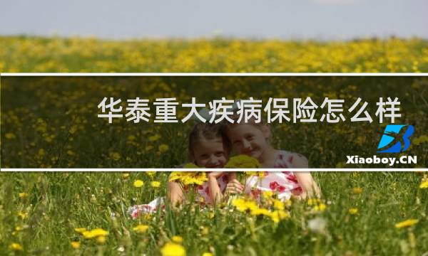 华泰重大疾病保险怎么样图片
