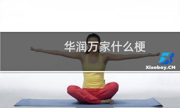 华润万家什么梗