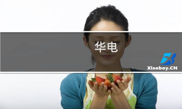 华电